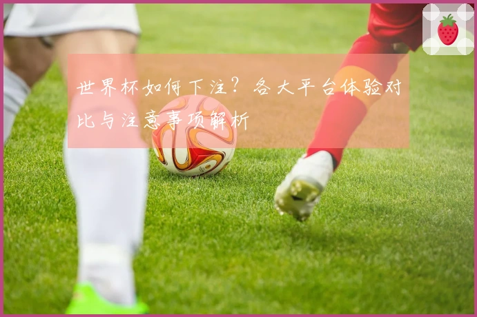 世界杯如何下注？各大平台体验对比与注意事项解析