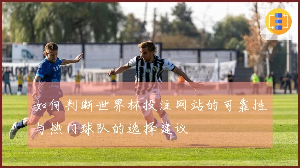 如何判断世界杯投注网站的可靠性与热门球队的选择建议