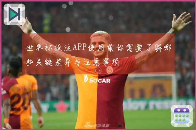 世界杯投注APP使用前你需要了解哪些关键差异与注意事项