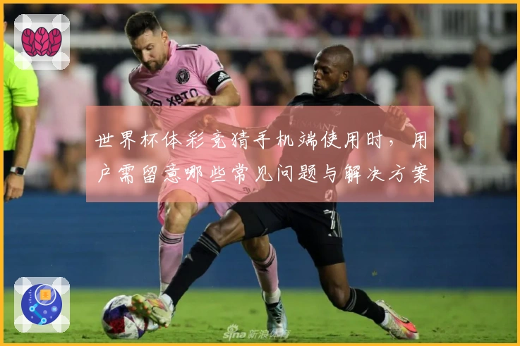 世界杯体彩竞猜手机端使用时，用户需留意哪些常见问题与解决方案？