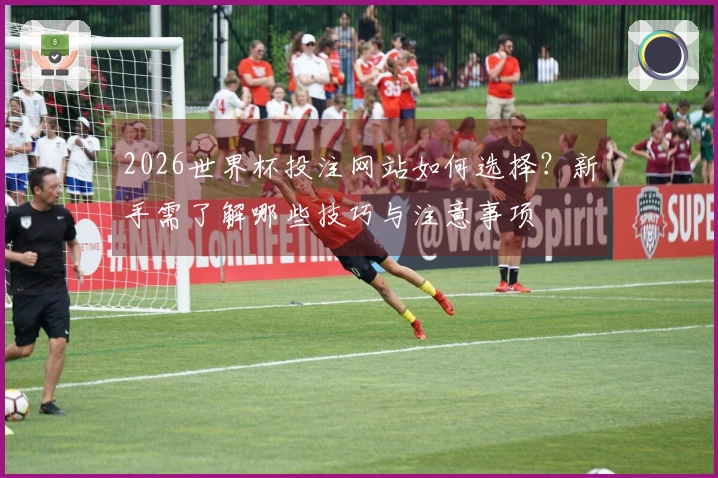 2026世界杯投注网站如何选择？新手需了解哪些技巧与注意事项