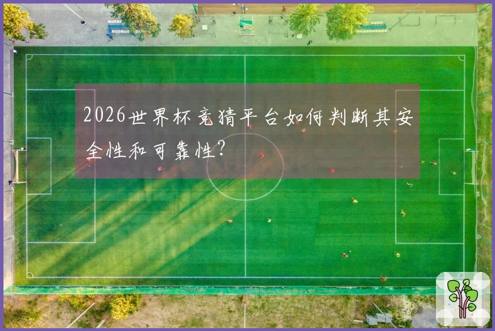 2026世界杯竞猜平台如何判断其安全性和可靠性？