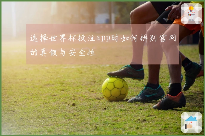 选择世界杯投注app时如何辨别官网的真假与安全性