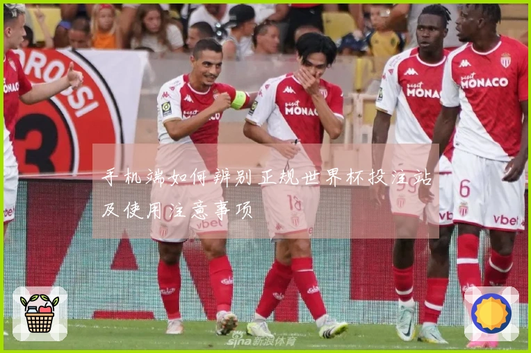 手机端如何辨别正规世界杯投注站及使用注意事项