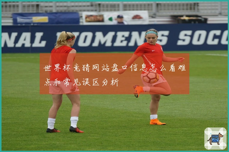 世界杯竞猜网站盘口信息怎么看难点和常见误区分析