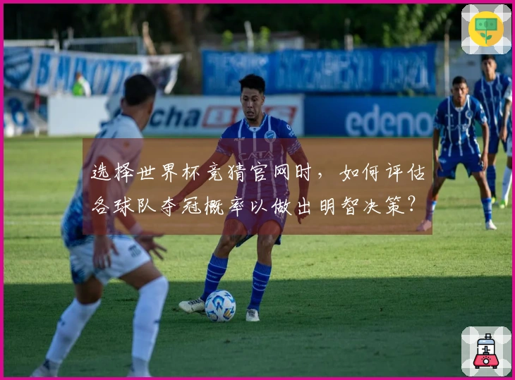 选择世界杯竞猜官网时，如何评估各球队夺冠概率以做出明智决策？