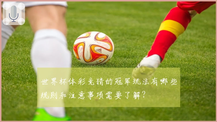 世界杯体彩竞猜的冠军玩法有哪些规则和注意事项需要了解？