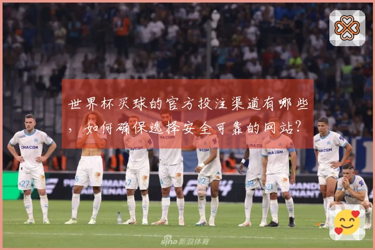 世界杯买球的官方投注渠道有哪些，如何确保选择安全可靠的网站？