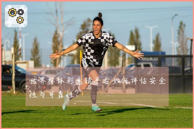 世界杯体彩竞猜平台如何评估安全性与可靠性？