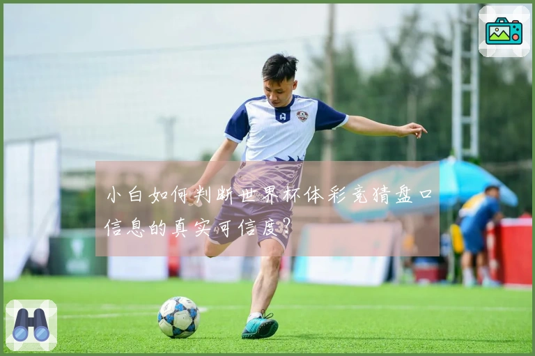 小白如何判断世界杯体彩竞猜盘口信息的真实可信度？