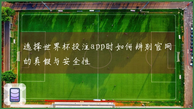 选择世界杯投注app时如何辨别官网的真假与安全性
