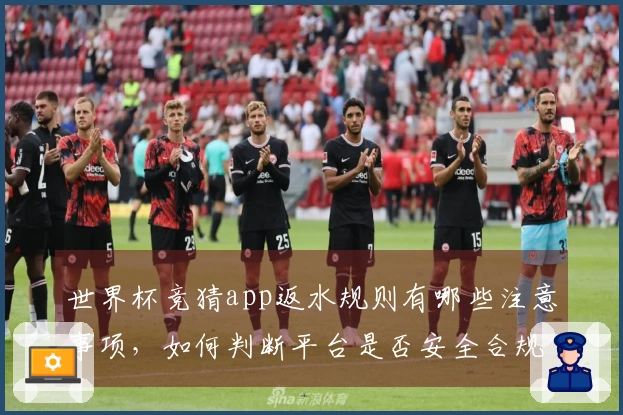 世界杯竞猜app返水规则有哪些注意事项，如何判断平台是否安全合规