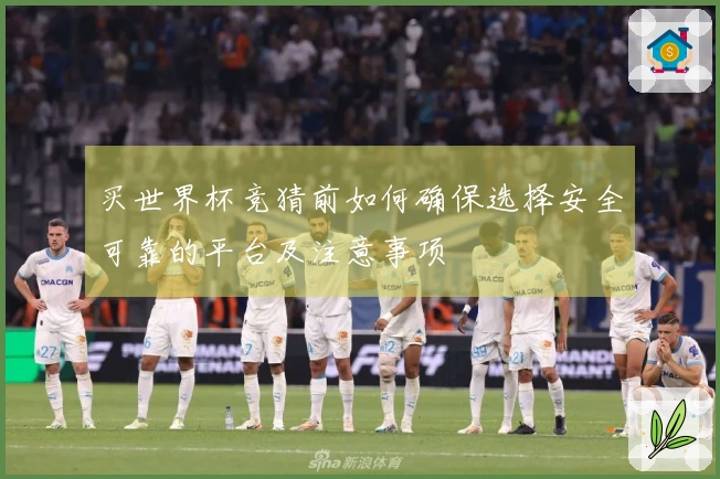 买世界杯竞猜前如何确保选择安全可靠的平台及注意事项