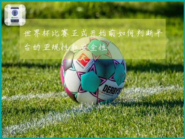 世界杯比赛正式开始前如何判断平台的正规性和安全性
