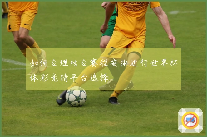 如何合理结合赛程安排进行世界杯体彩竞猜平台选择