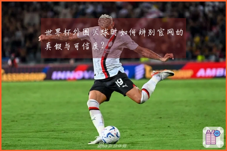 世界杯外围买球时如何辨别官网的真假与可信度？
