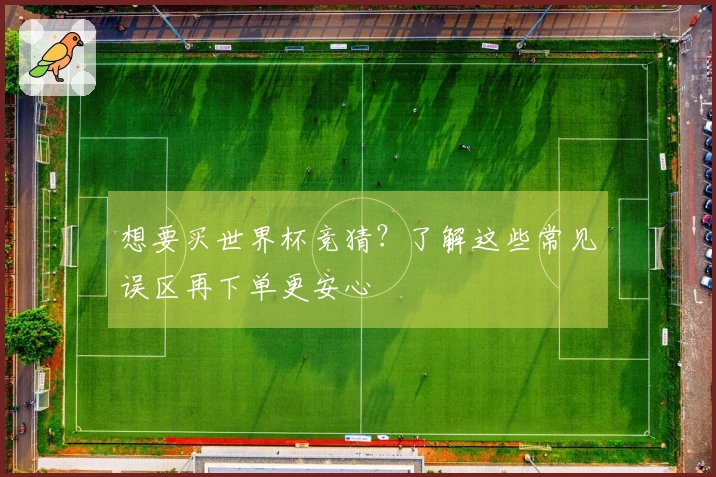 想要买世界杯竞猜？了解这些常见误区再下单更安心