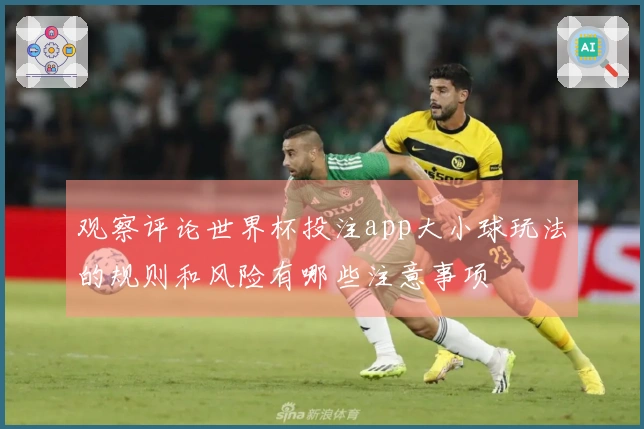 观察评论世界杯投注app大小球玩法的规则和风险有哪些注意事项