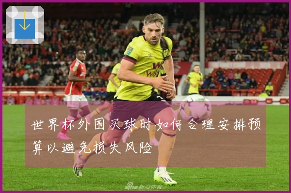 世界杯外围买球时如何合理安排预算以避免损失风险