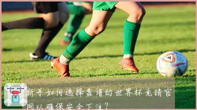 新手如何选择靠谱的世界杯竞猜官网以确保安全下注？