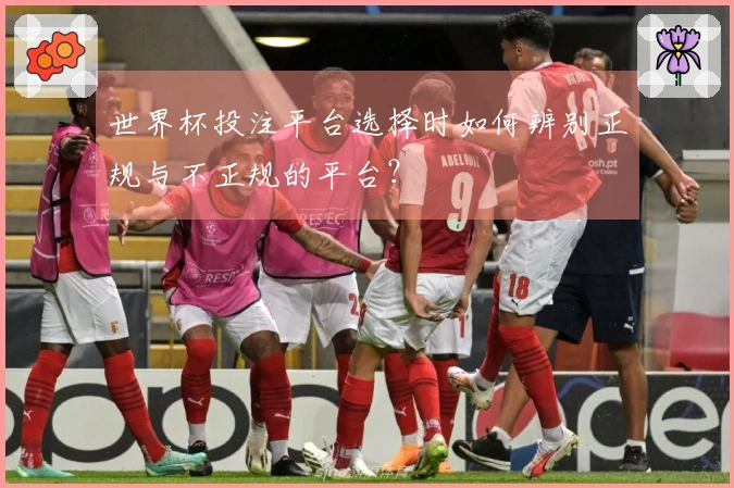 世界杯投注平台选择时如何辨别正规与不正规的平台？