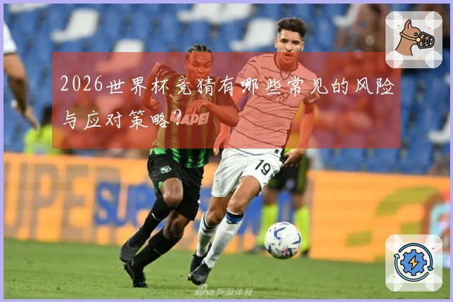 2026世界杯竞猜有哪些常见的风险与应对策略？