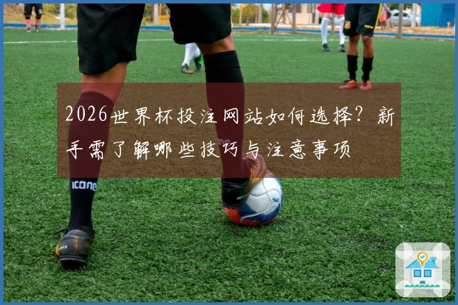 2026世界杯投注网站如何选择?新手需了解哪些技巧与注意事项