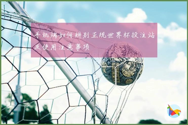 手机端如何辨别正规世界杯投注站及使用注意事项