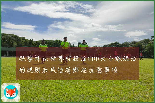 观察评论世界杯投注app大小球玩法的规则和风险有哪些注意事项