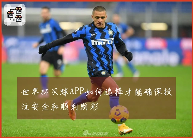 世界杯买球APP如何选择才能确保投注安全和顺利购彩