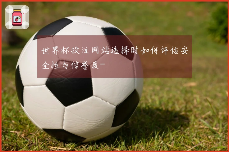 世界杯投注网站选择时如何评估安全性与信誉度-