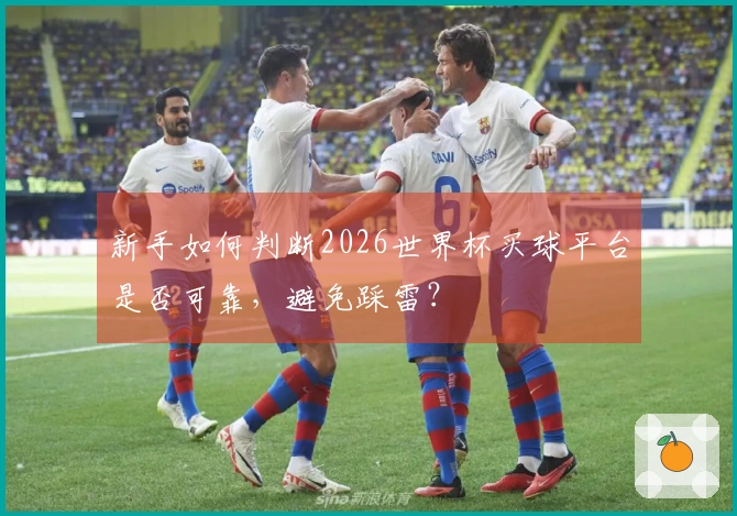 新手如何判断2026世界杯买球平台是否可靠，避免踩雷？