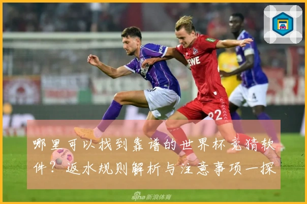 哪里可以找到靠谱的世界杯竞猜软件？返水规则解析与注意事项一探究竟