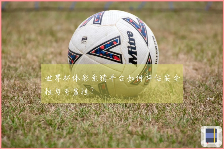 世界杯体彩竞猜平台如何评估安全性与可靠性？