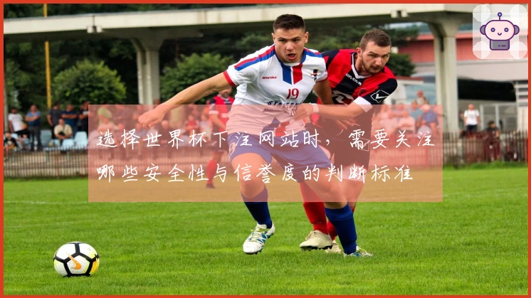 选择世界杯下注网站时，需要关注哪些安全性与信誉度的判断标准