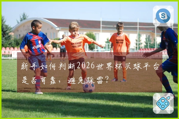 新手如何判断2026世界杯买球平台是否可靠，避免踩雷？