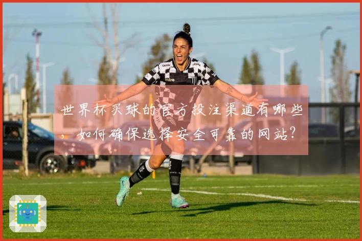 世界杯买球的官方投注渠道有哪些，如何确保选择安全可靠的网站？