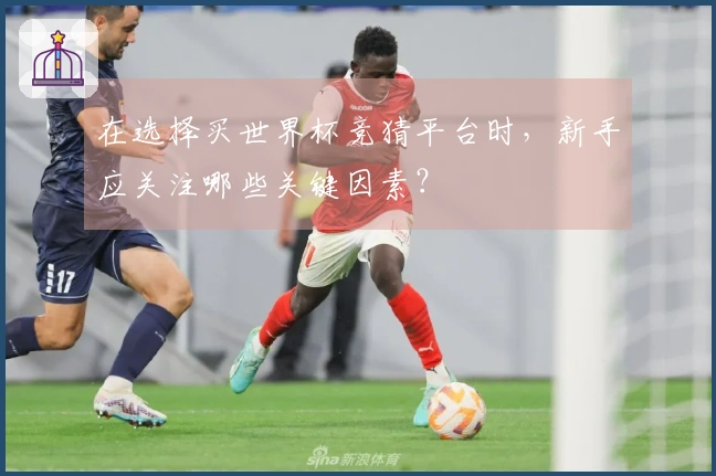 在选择买世界杯竞猜平台时，新手应关注哪些关键因素？